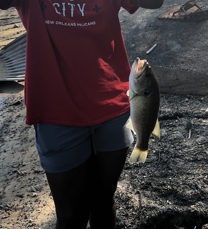 Bluegill hanging from a fishing line at the edge of a lake