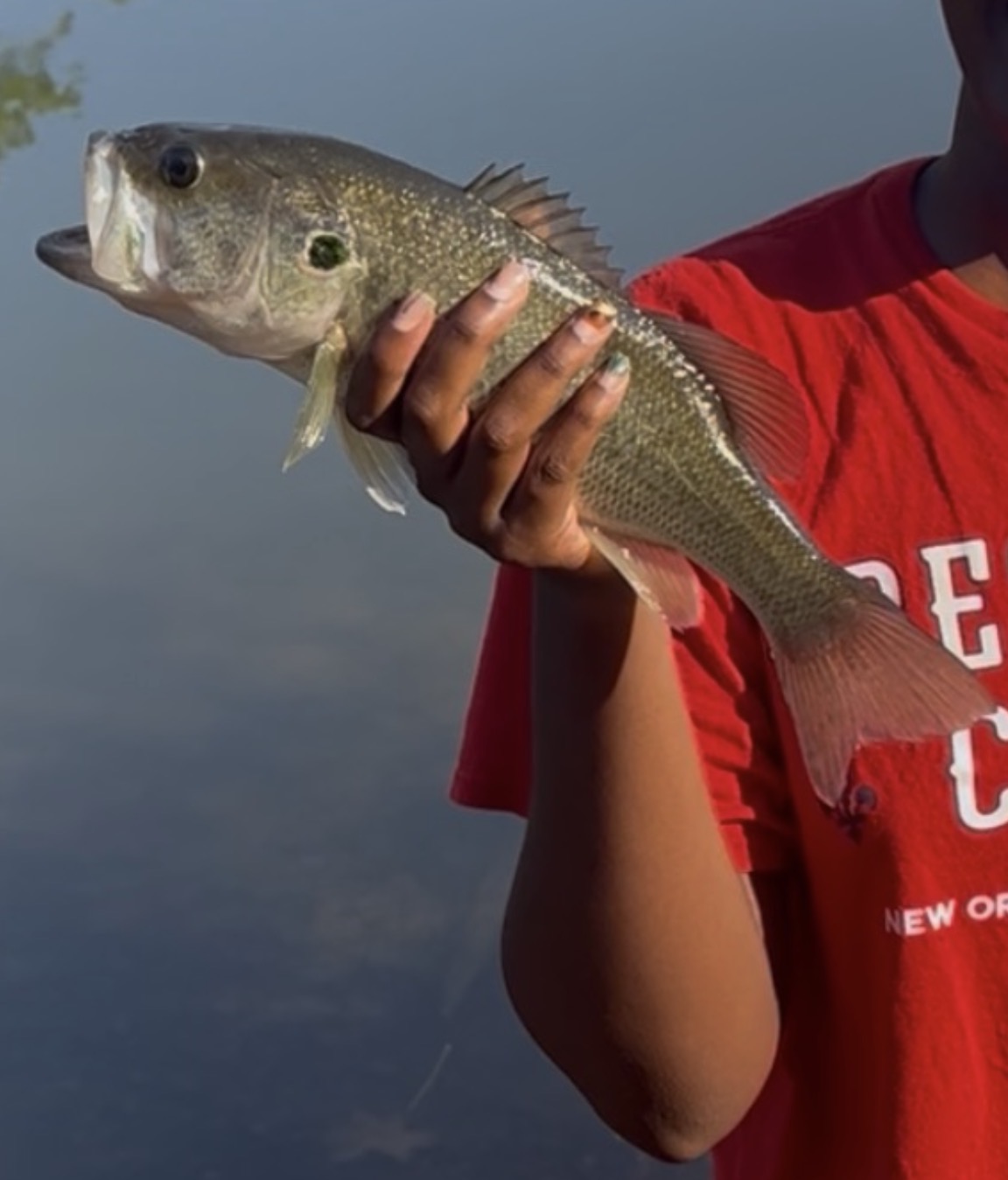 Personal-record largemouth bass